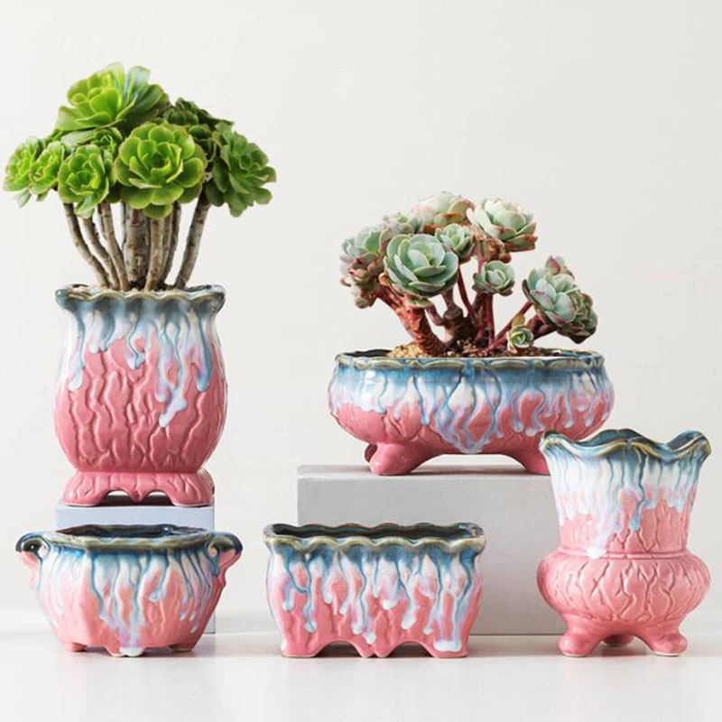 Snake Plant Ceramic - Yaratıcı sırlı saksı etli saksı Bonsai