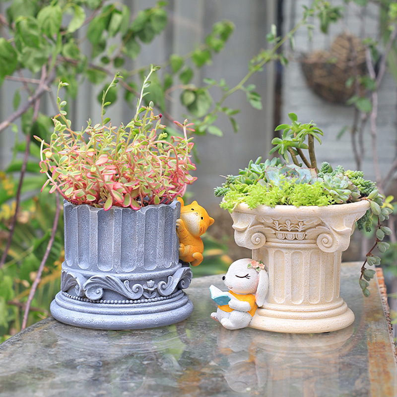 Snake Plant Ceramic - Roma sütunu yunan sütunları yetiştiricilerinin, Succulents