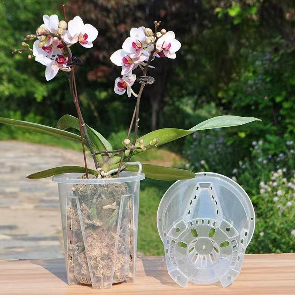 Plant Parent - Plastik Kök Kontrolü Şeffaf Saksı Nefes
