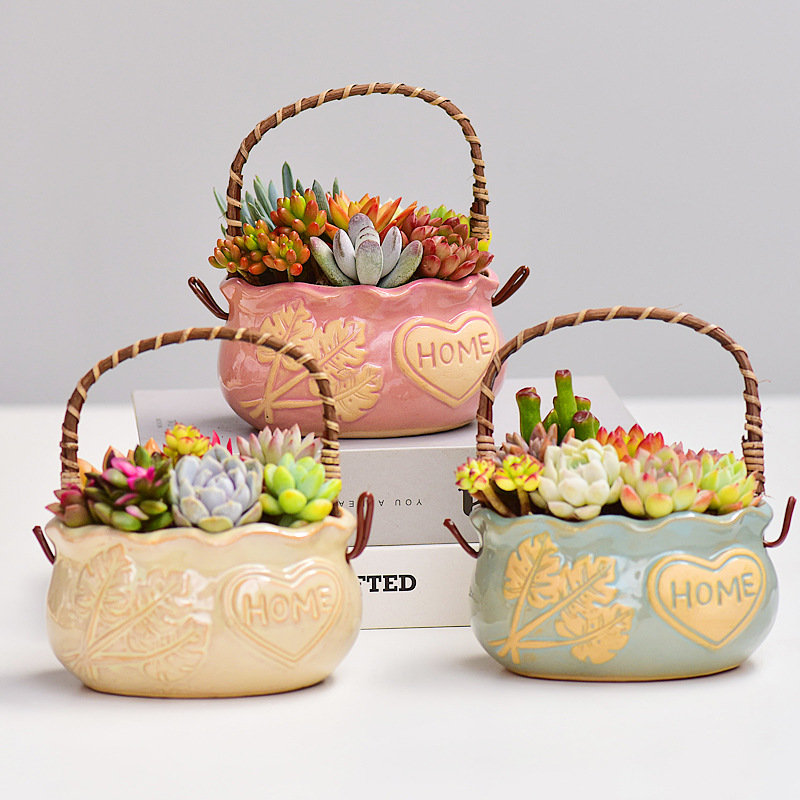 Snake Plant Ceramic - İskandinav Tarzı Seramik Sepet Sukulent Saksısı,