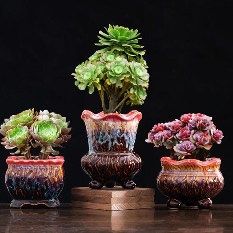 Yaratıcı sırlı saksı etli saks - Snake Plant Ceramic incelemesi ve fiyatı