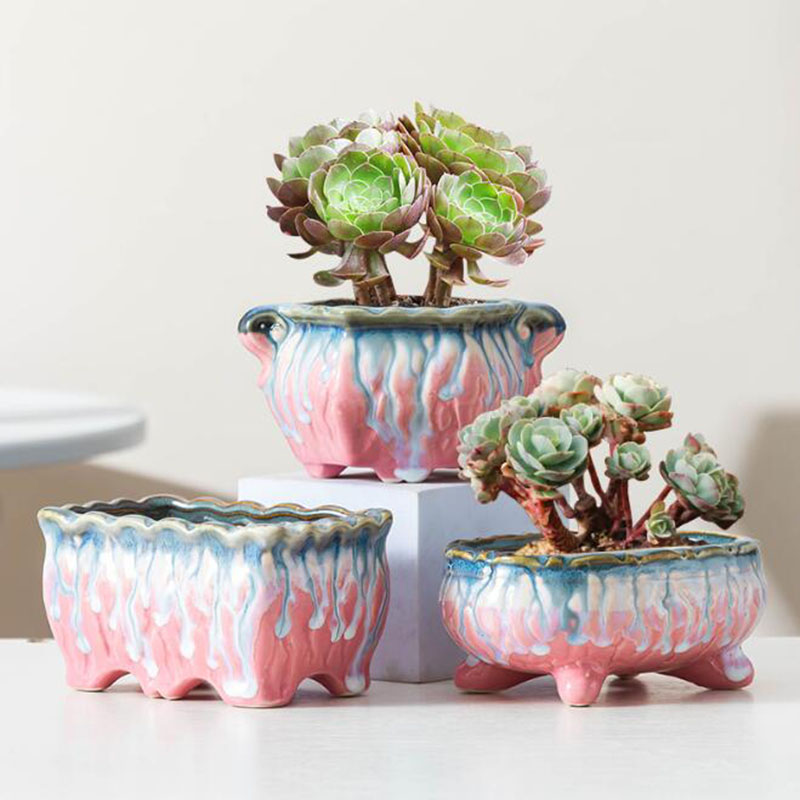 Yaratıcı sırlı saksı etli saks - Snake Plant Ceramic incelemesi ve fiyatı