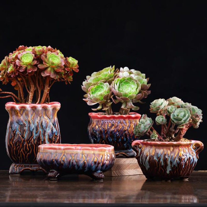 Yaratıcı sırlı saksı etli saks - Snake Plant Ceramic incelemesi ve fiyatı