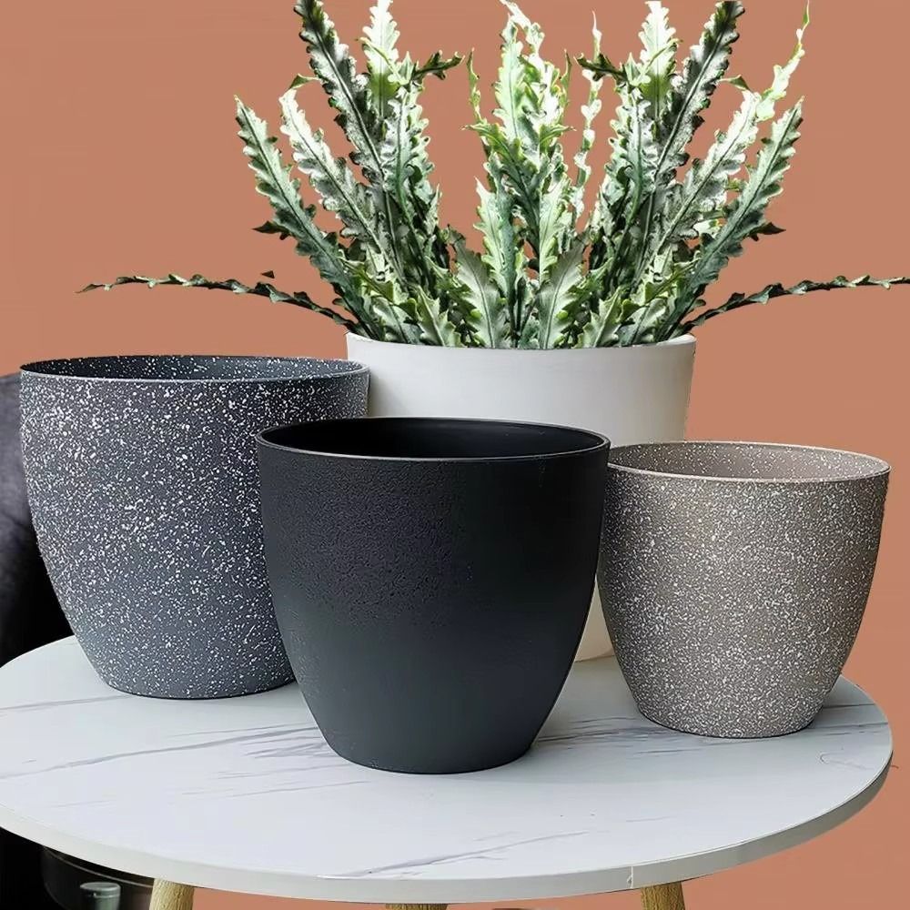 Buzlu İmitasyon Taş Bonsai Sak - Snake Plant Ceramic incelemesi ve fiyatı