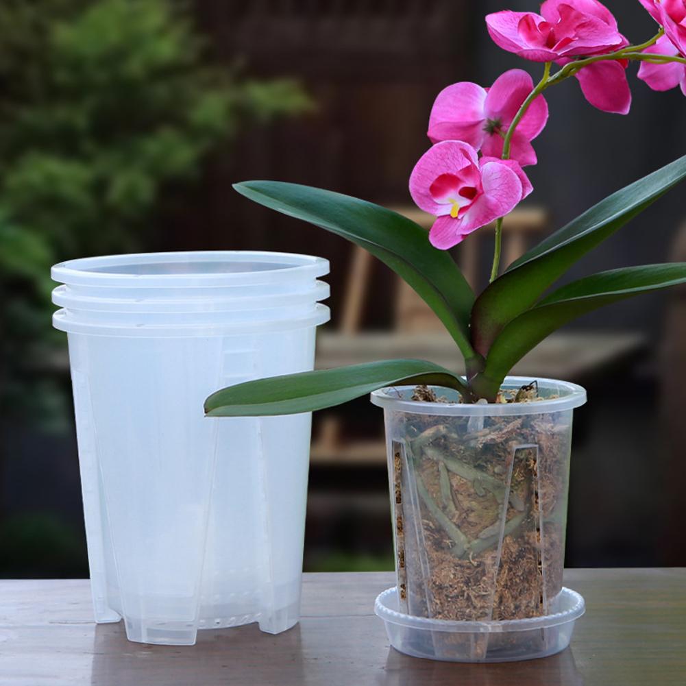 Plastik Kök Kontrolü Şeffaf Sa - Plant Parent incelemesi ve fiyatı