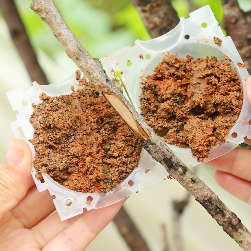 Yeniden Kullanılabilir Bitki K - Plant Parent incelemesi ve fiyatı
