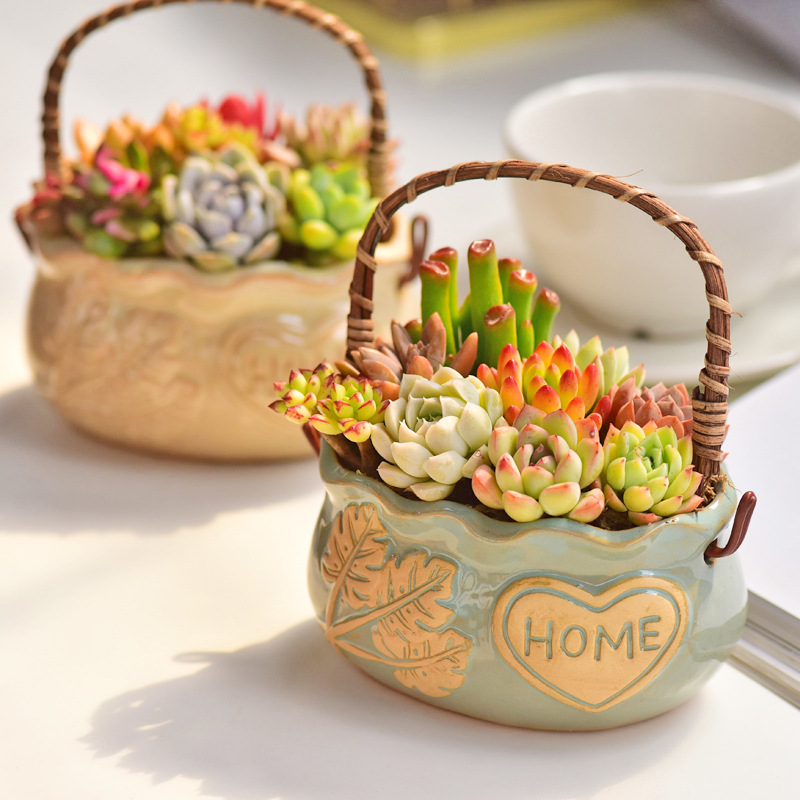 İskandinav Tarzı Seramik Sepet - Snake Plant Ceramic incelemesi ve fiyatı