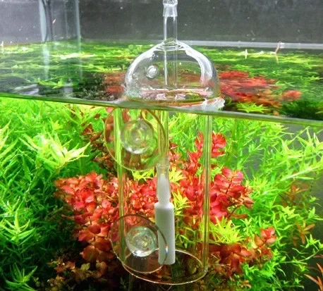 VIV Yapma Cihazı Akvaryum Sili - Plant Parent incelemesi ve fiyatı