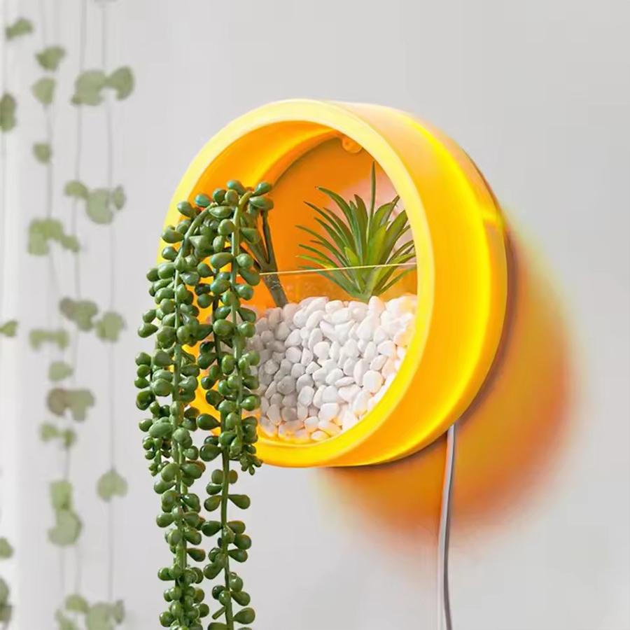 Yuvarlak Duvara Monte Saksı 3  - Snake Plant Ceramic incelemesi ve fiyatı