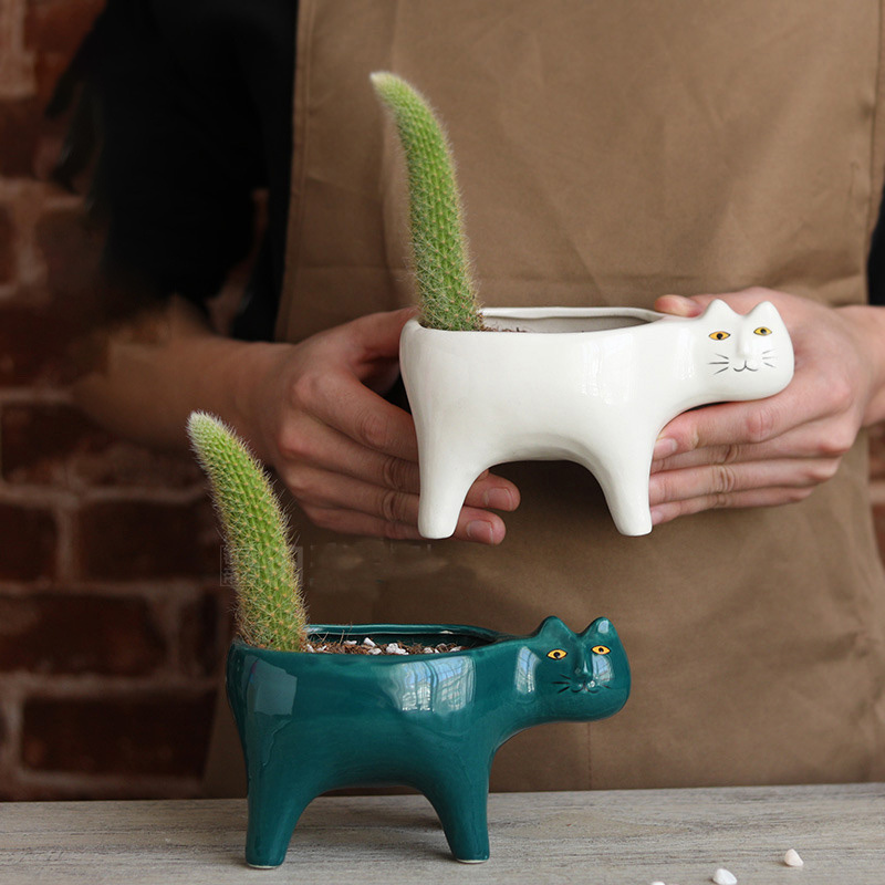 Sevimli Kedi Seramik Bahçe Sak - Snake Plant Ceramic incelemesi ve fiyatı