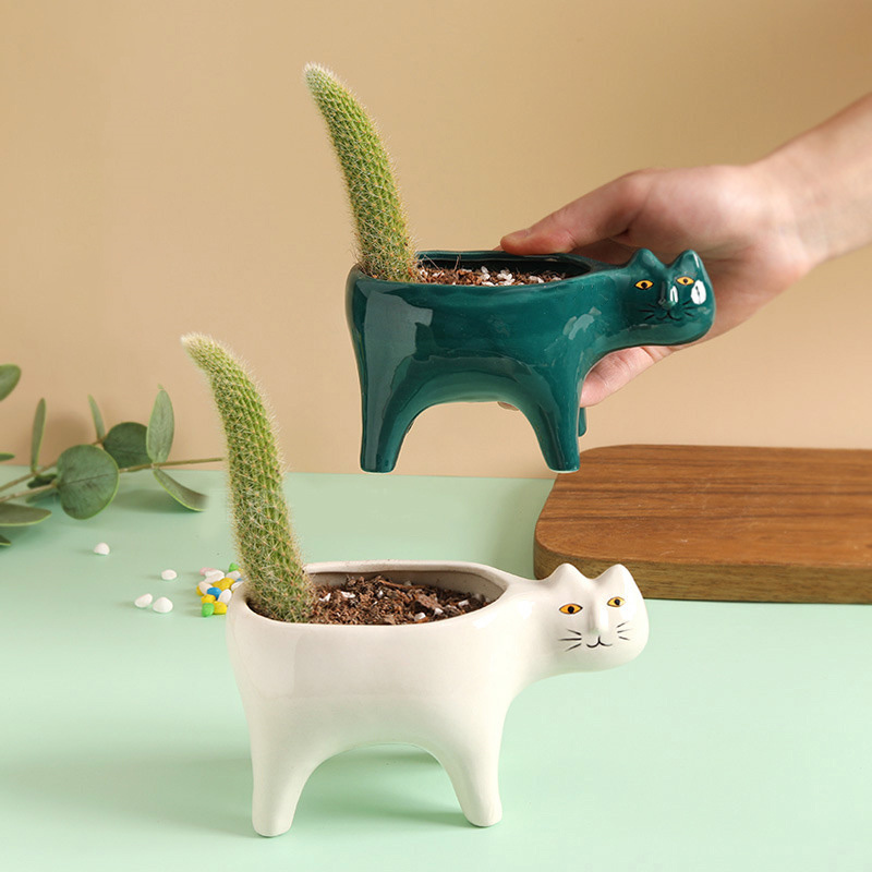 Sevimli Kedi Seramik Bahçe Sak - Snake Plant Ceramic incelemesi ve fiyatı